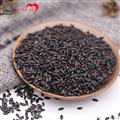 康乐县精选黑米黑香米杂粮（袋装500g）