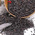 康乐县精选黑米黑香米杂粮（袋装500g）