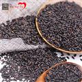 康乐县精选黑米黑香米杂粮（袋装500g）