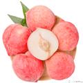 水蜜桃   12个/盒/8-9斤