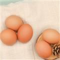 甘肃省卓尼县农家土鸡蛋30枚/盘