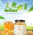 卓尼县藏区高原土蜂蜜500克/罐
