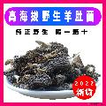 卓尼县-优选野生羊肚菌50g/罐