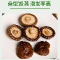 卓尼香菇干货  自有种植基地  500g袋装