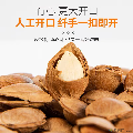 康乐县开口杏仁300g/袋包邮