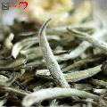 竹叶青茉莉花茶礼盒装
