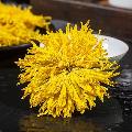 卓尼县金丝皇菊100g装