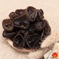 卓尼山珍精选黑木耳500g盒装泡发率高胶质丰富