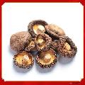 甘肃康县特产小香菇干货100gx2包