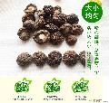 驭康小香菇（一级）100g*50袋