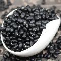 康乐县精选黑豆精品罐装430g/罐