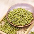 康乐县精品绿豆500g/包