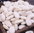 康县农家雪豆芸豆500g 五谷杂粮白腰豆白芸豆沙