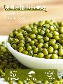 农家有机绿豆500g