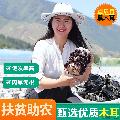 卓尼县黑木耳干货  自由种植基地   20斤