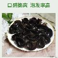 卓尼黑木耳干货 自有种植基地 500g礼盒装