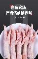 卓尼县新鲜散养土鸡大鸡爪10斤装