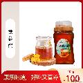康乐县精品党参蜜500g