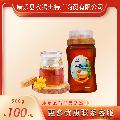 康乐县精品党参蜜500g