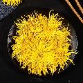 卓尼县金丝皇菊100g装