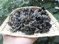 卓尼县黑木耳干货  自由种植基地   20斤