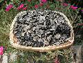 卓尼县黑木耳干货  自由种植基地   20斤