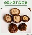 卓尼香菇干货  自有种植基地  500g袋装