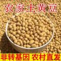 康县农家黄豆 500g袋装