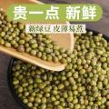 康县绿豆当季 500g袋装