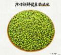 卓尼县高原农家绿豆