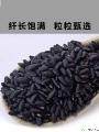 优选黑米500克/袋