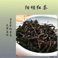 康县红茶花果香型红茶高山老树红茶