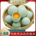 康乐县野望阁富硒绿壳鸡蛋农家林下散养鸡
