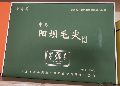 康县阳坝毛尖茶叶 250克/盒