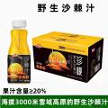 高原野生沙刺汁