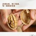康乐县何家沟村特产坚果原味核桃《散装》