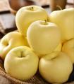 甘肃黄元帅苹果10斤/箱