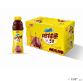康乐县啤特果汁500ml*15瓶