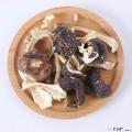 康乐县赤松茸干货