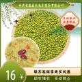 康乐县农家优质绿豆500g袋装
