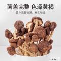康乐县土特产茶树菇礼盒