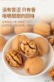 康乐县农家自种核桃500g老树核桃精选干果原味核桃1斤
