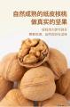 康乐县农家自种核桃2.5kg老树核桃精选干果原味核桃5斤