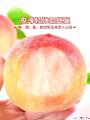 康乐县农家新鲜水果脆甜多汁现摘现发水蜜桃航空包邮5斤