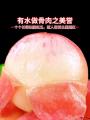 康乐县农家新鲜水果脆甜多汁现摘现发水蜜桃航空包邮5斤