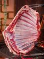 康乐县整扇羊排5斤原切生鲜羊肉2.5kg航空包邮