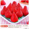 康乐县新鲜水果现摘现发精品奶油草莓5斤航空包邮