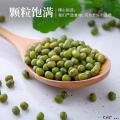 康乐县杂粮绿豆2.5kg汤解暑绿豆粥绿豆5斤