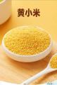康乐县农家黄小米小袋装一顿饭一小包100g*7袋*5盒当季新米五谷杂粮小米精美礼盒