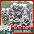 甘肃康县黑木耳250g